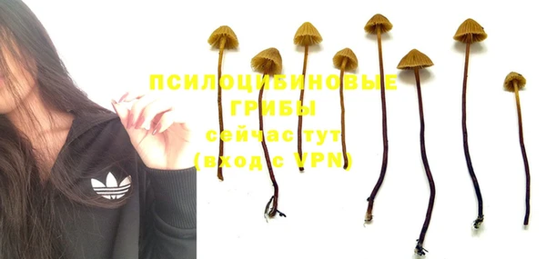 кокаин колумбия Алексин