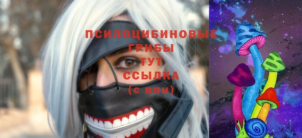 2c-b Алзамай