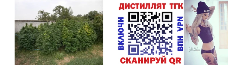 MEGA вход  Заинск  ТГК вейп с тгк 