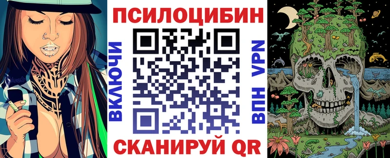 МЕГА вход  Заинск  Псилоцибиновые грибы мицелий  магазин продажи  