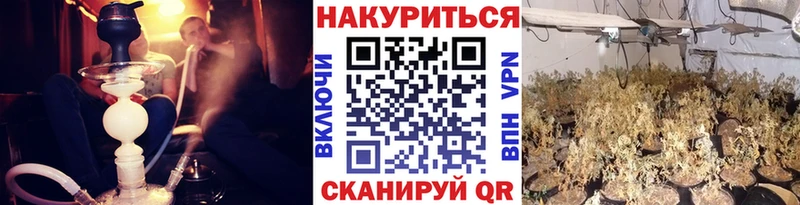 Канабис THC 21%  дарнет шоп  Заинск 
